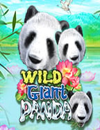 วิธี เล่น พนัน บอล ให้ รวยแทง บอล 2 คู่ เบื้องต้น ใน AQ9